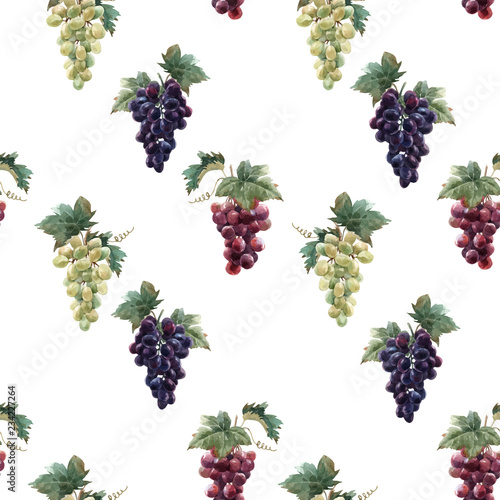 Watercolor grape vector pattern