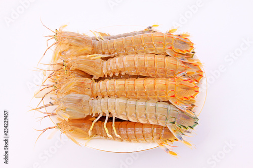 Fresh mantis shrimp on a white background