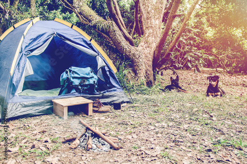 Book bags and camping equipment have leather shoes outside the tent with two dog