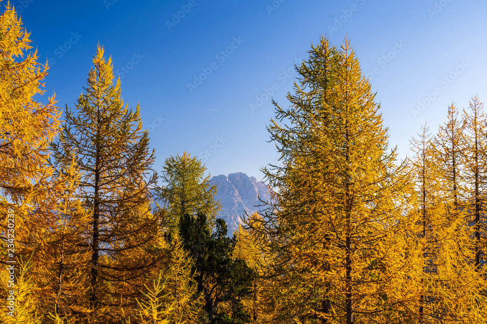 Obraz premium Colorful scenic view of majestic Dolomites mountains in Italian Alps.