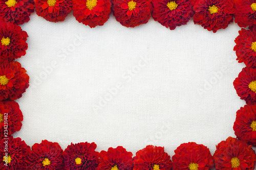 Fototapeta Naklejka Na Ścianę i Meble -  Beautiful red dandelion on white background with centered space for text of design art work.