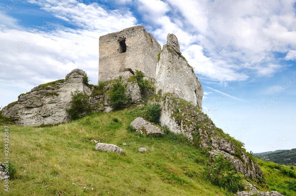 Ruiny zamku w Olsztynie koło Częstochowy