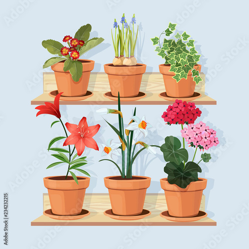 Flowers at shelves. Decorative tree plants grow in pots and standing in home interior at wooden shelves vector cartoon pictures. Flower pot blossom, plant gardening, flowerpot houseplant illustration
