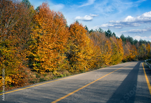 Nature autumn lanscape. Colour of autumn. Sky, cloud and road.