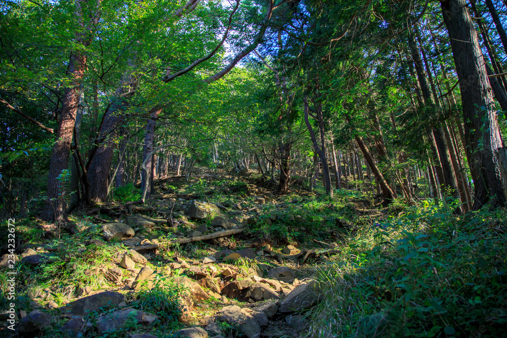 塔ノ岳 鍋割山 8 塔ノ岳 鍋割山 8