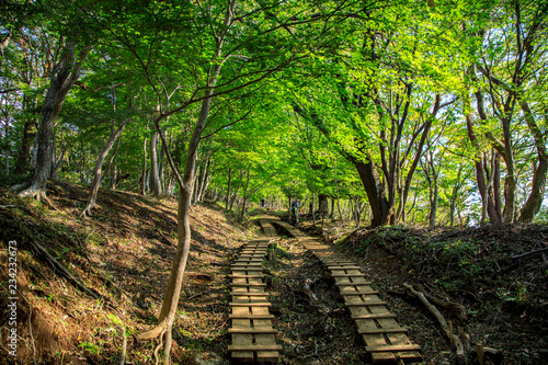 塔ノ岳 鍋割山 9