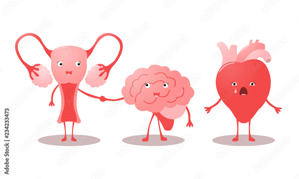 Funny characters uterus, brain and heart. Vector illustration.
