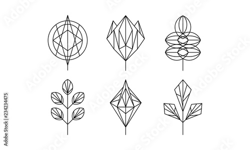 Geometrical leaves set, monochrome polygonal plants vector Illustration on a white background