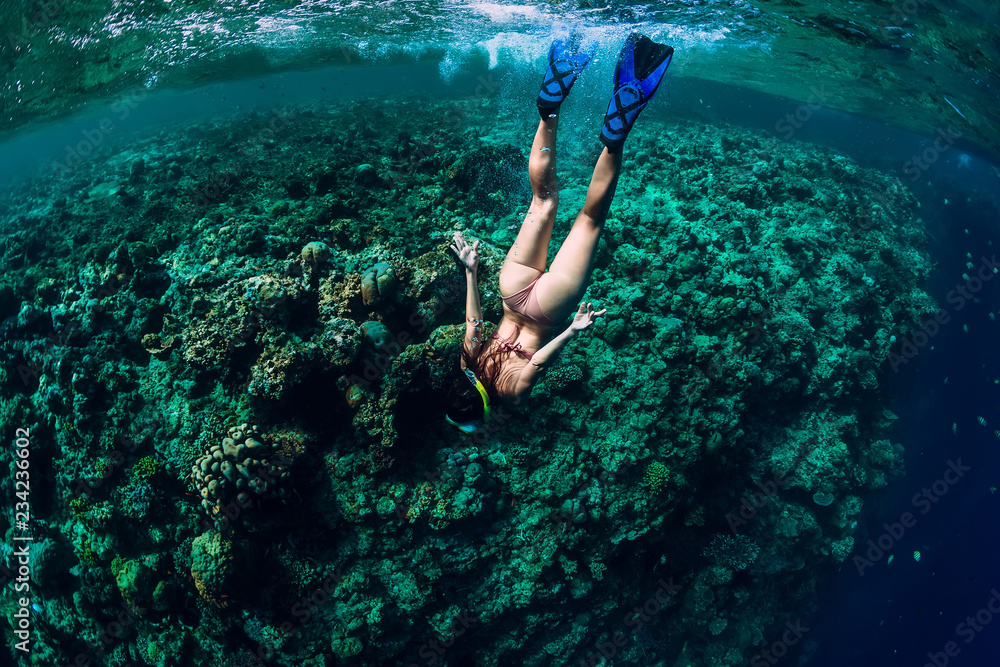 Woman free diver dive in the tropical ocean - obrazy, fototapety, plakaty 