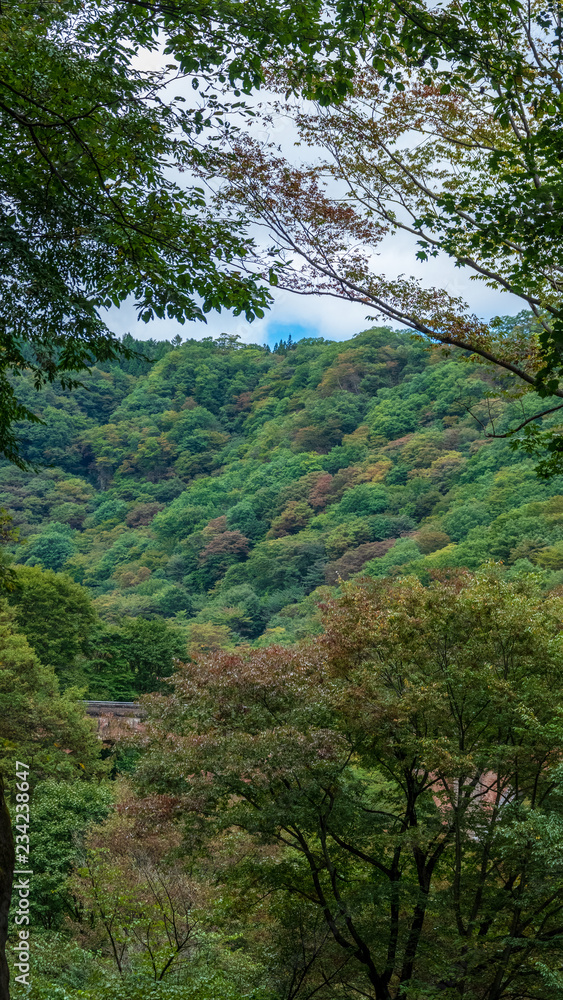 碓氷峠第三橋梁　めがね橋