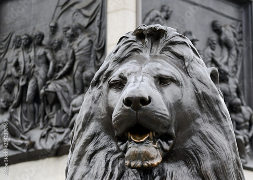 Statue of a lion, Trafalgar Square, London, United Kingdom