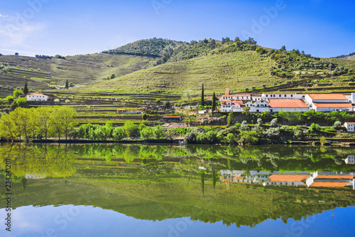 Douro Valley. Vineyards and landscape near Pinhao town, Portugal