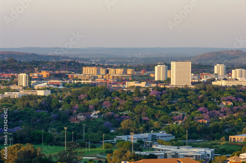 University of Pretoria campus in evening light with Jacarandas