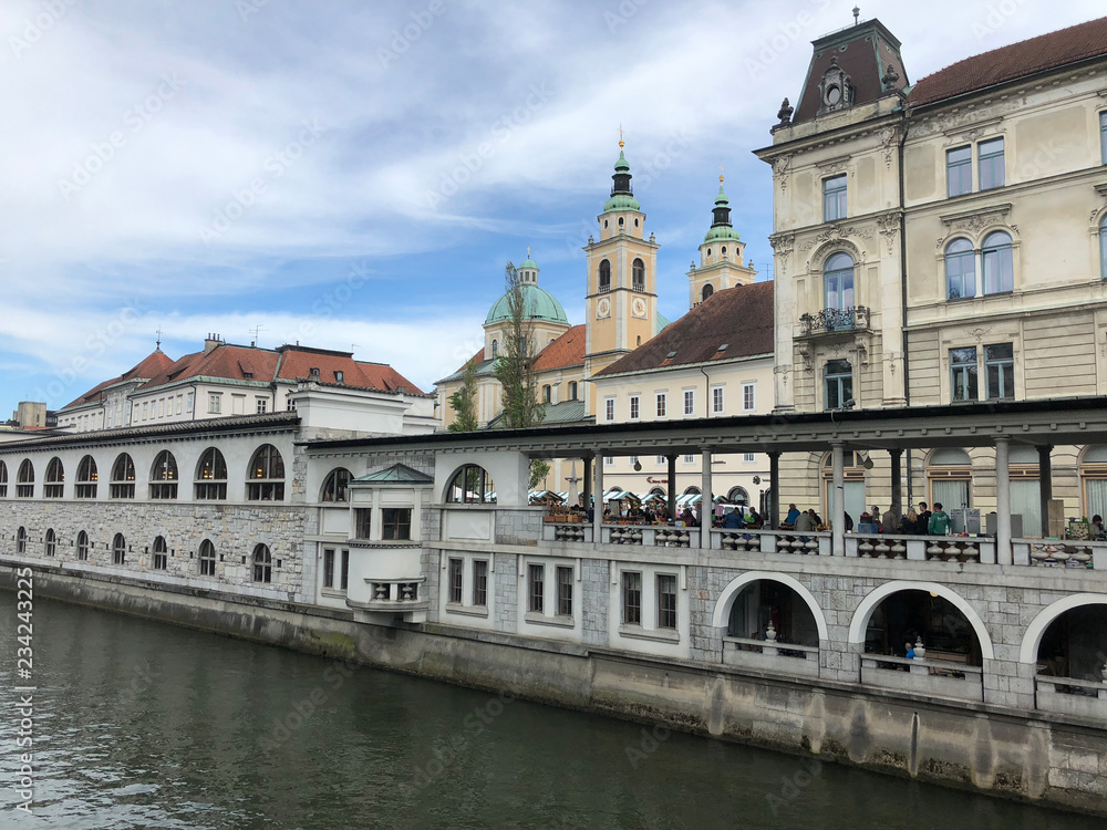 Ljubljanica river with the Ljubljana Cathedral