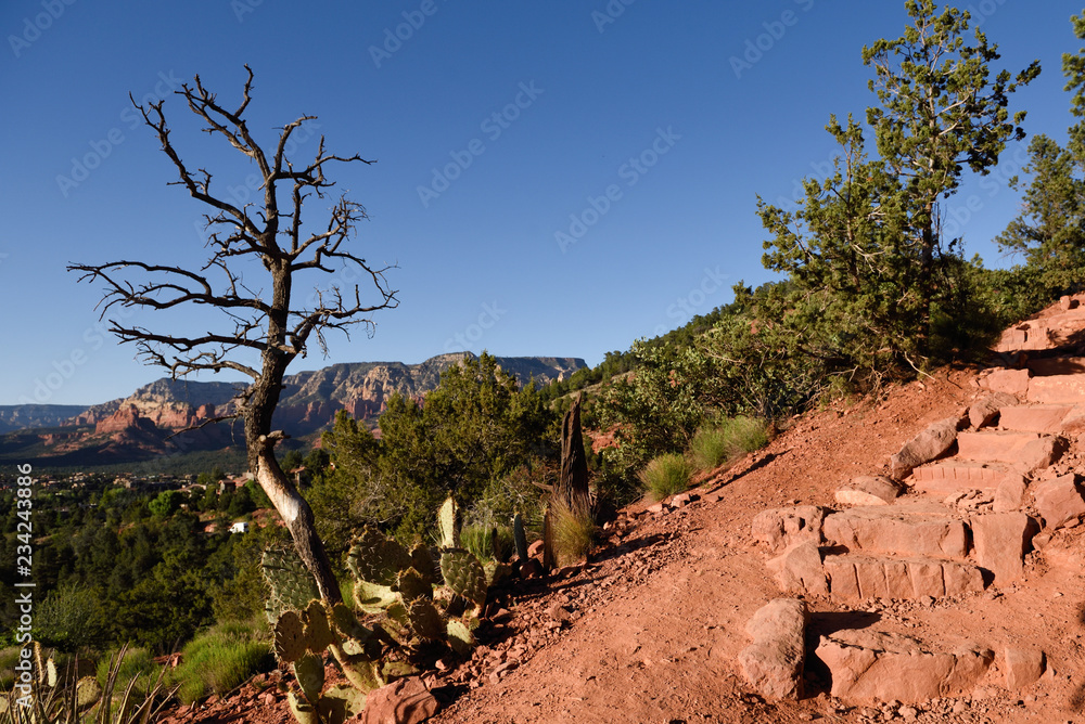 Crossing America, one of the most interesting and provocative touristic experiences  
