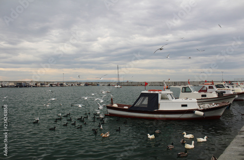 Sunset with boats and storks docked.