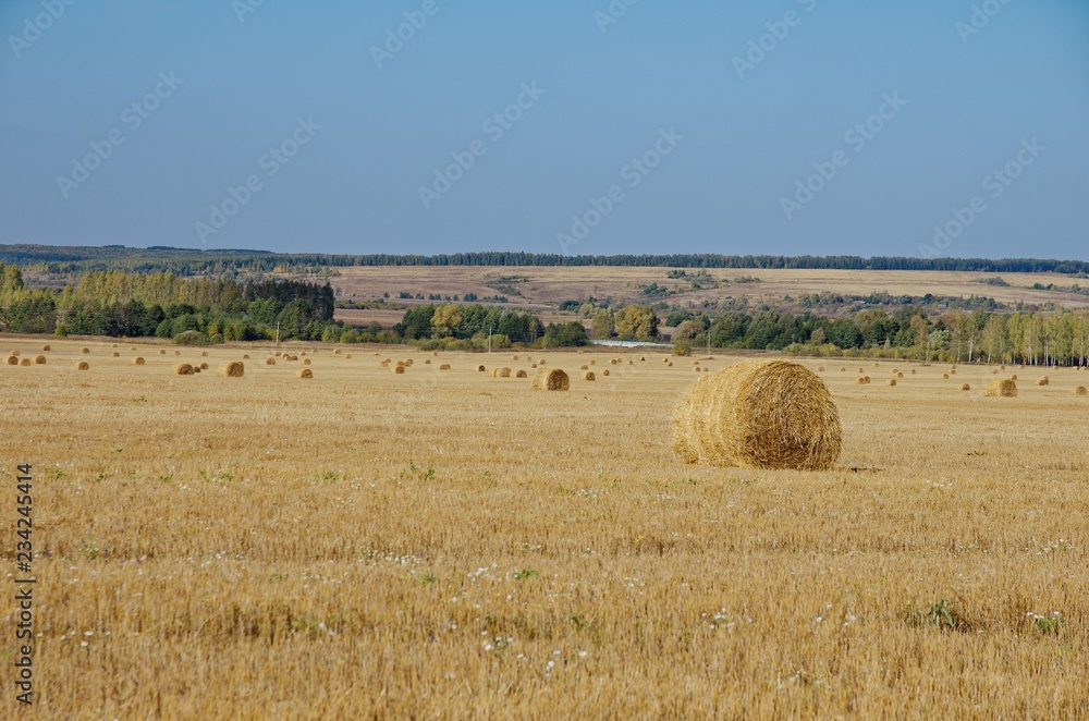 Rural landscape during autumn.