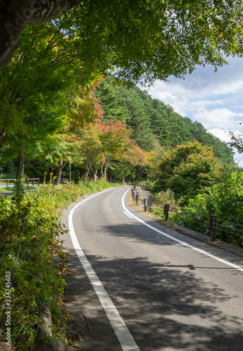 Curved road way of Kohoku view line in Nikko, Japan