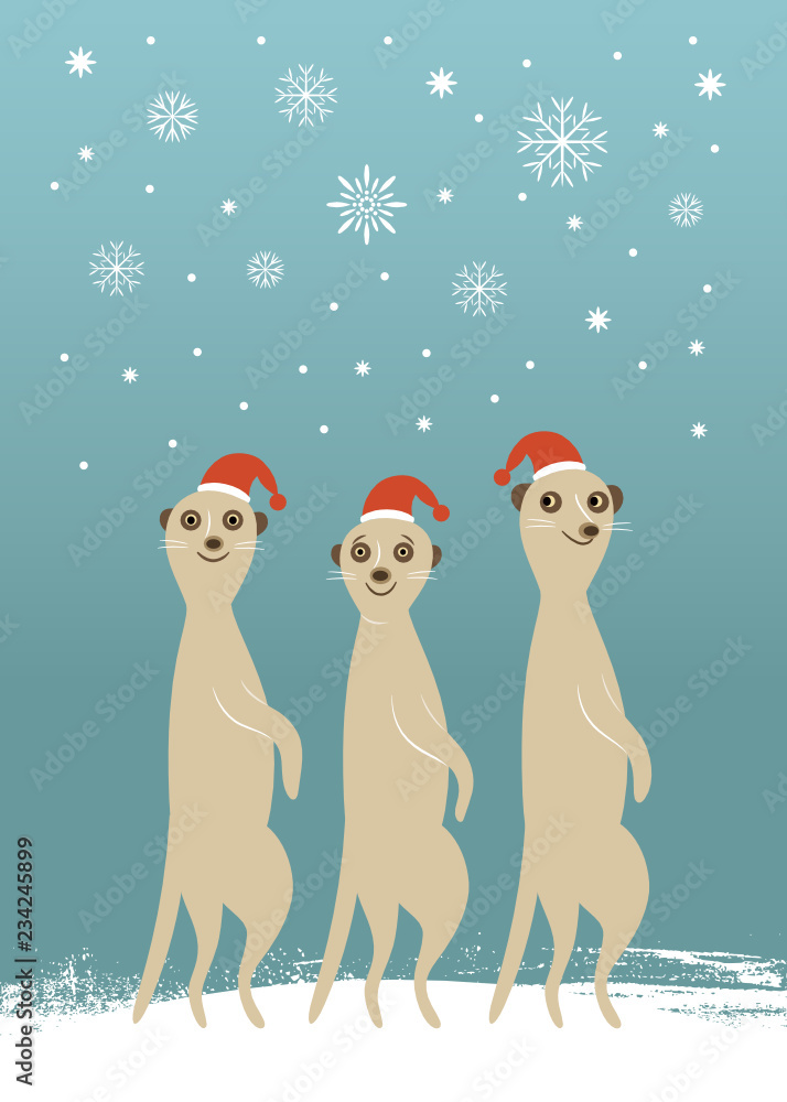 cute meerkats in red hats 