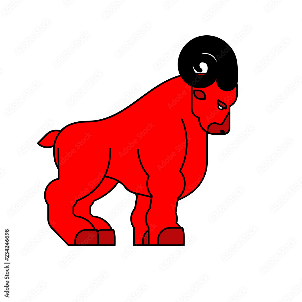 Fototapeta premium Red ram isolated. Horned sheep. Farm animal