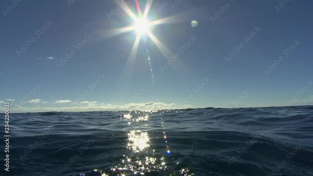 Ascending to ocean surface and sunshine