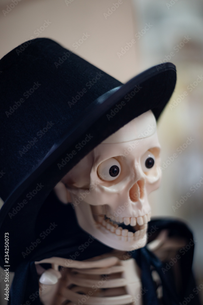 Skeleton with hat on head and cloak. Close-up view. Halloween decoration and blurred background.