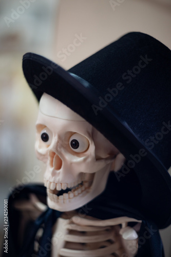 Skeleton with hat on head and cloak. Close-up view. Halloween decoration and blurred background. © Alexs