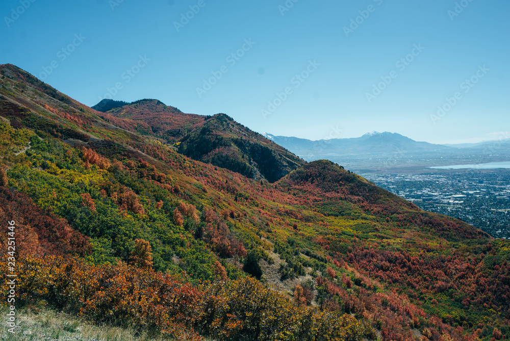 Spotted mountains covered in fall plants