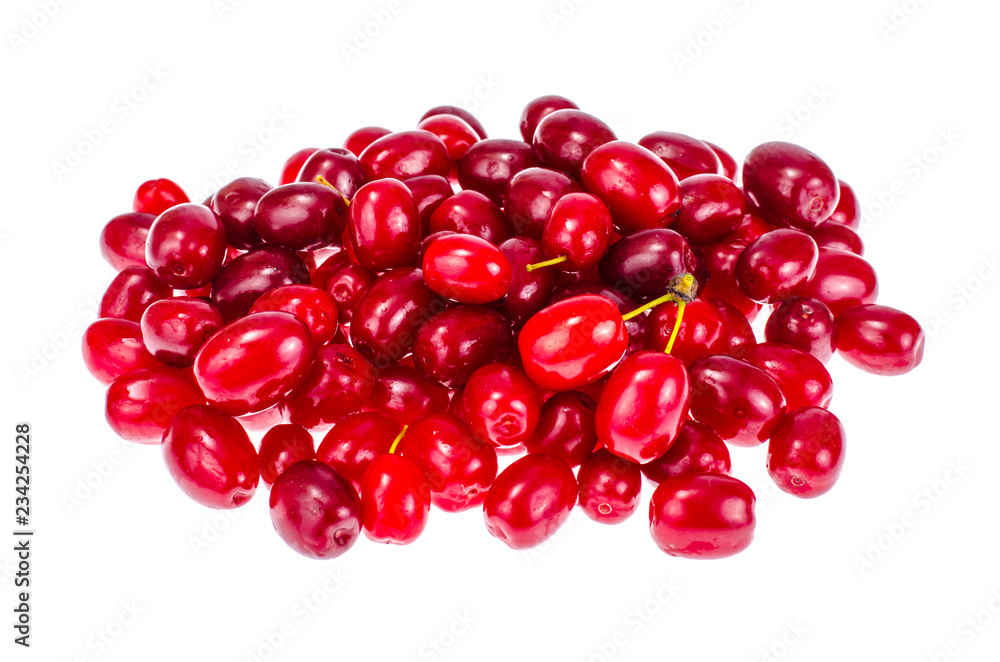 Red ripe berries of Cornus mas Red ripe berries of Cornus mas