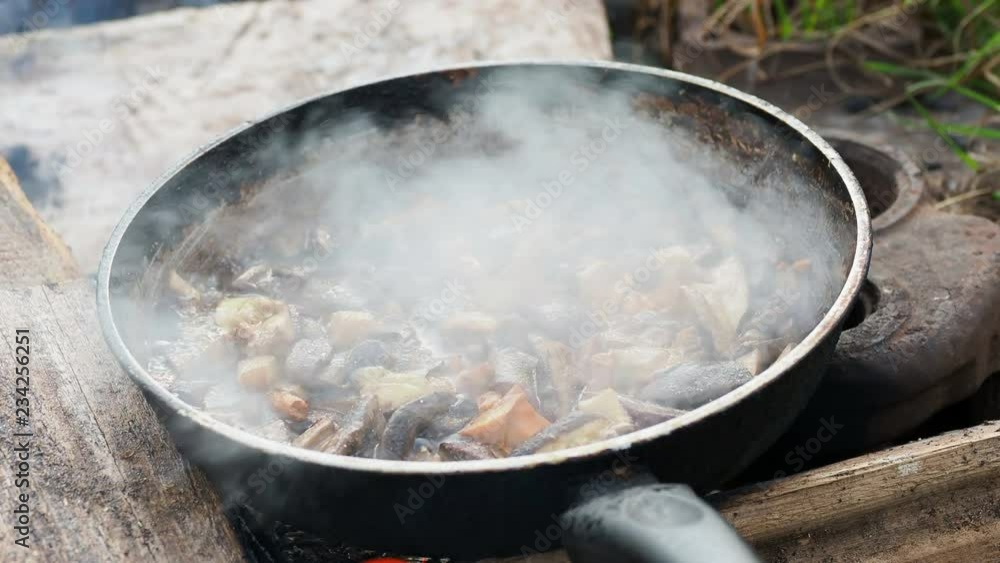 Cooking mushrooms on frying pan. Summer camping on beach. Kenozero national park, Russia. Cooking mushrooms on frying pan. Summer camping on beach. Kenozero national park, Russia.