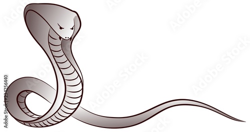 Sketch of a snake.