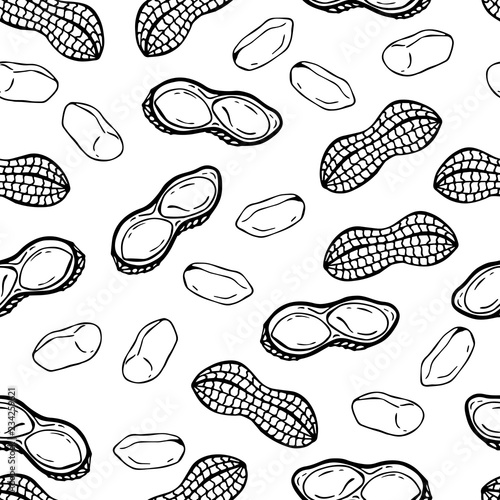 Pattern of vector illustrations on the nutrition theme; set of peanuts. Realistic isolated objects for your design.