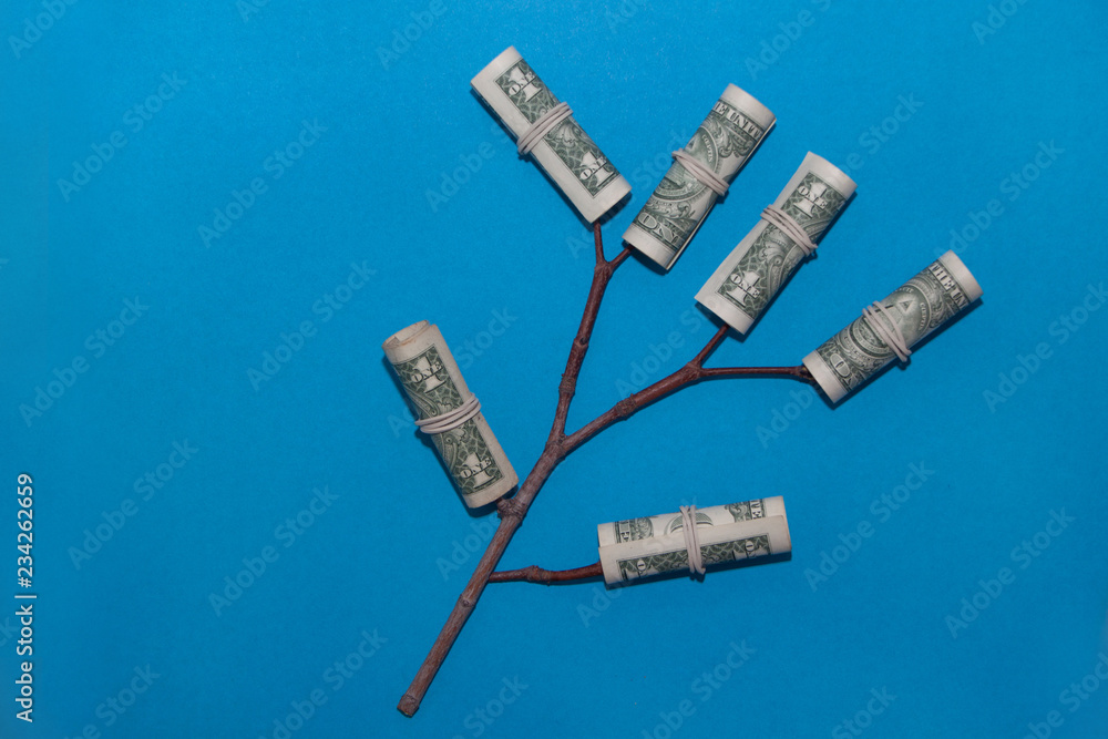 Growing money tree. Plant with young buds in a paper money. Finance and investment concept. Growing money tree. Plant with young buds in a paper money. Finance and investment concept.