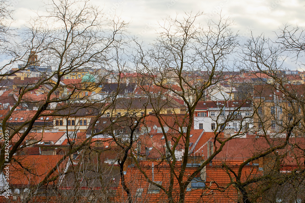 Houses with traditional red roofs in Prague, Czech Republic. View from above Houses with traditional red roofs in Prague, Czech Republic. View from above