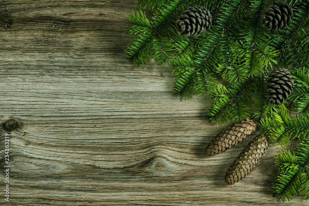 Naklejka premium Christmas fir tree on a wooden background