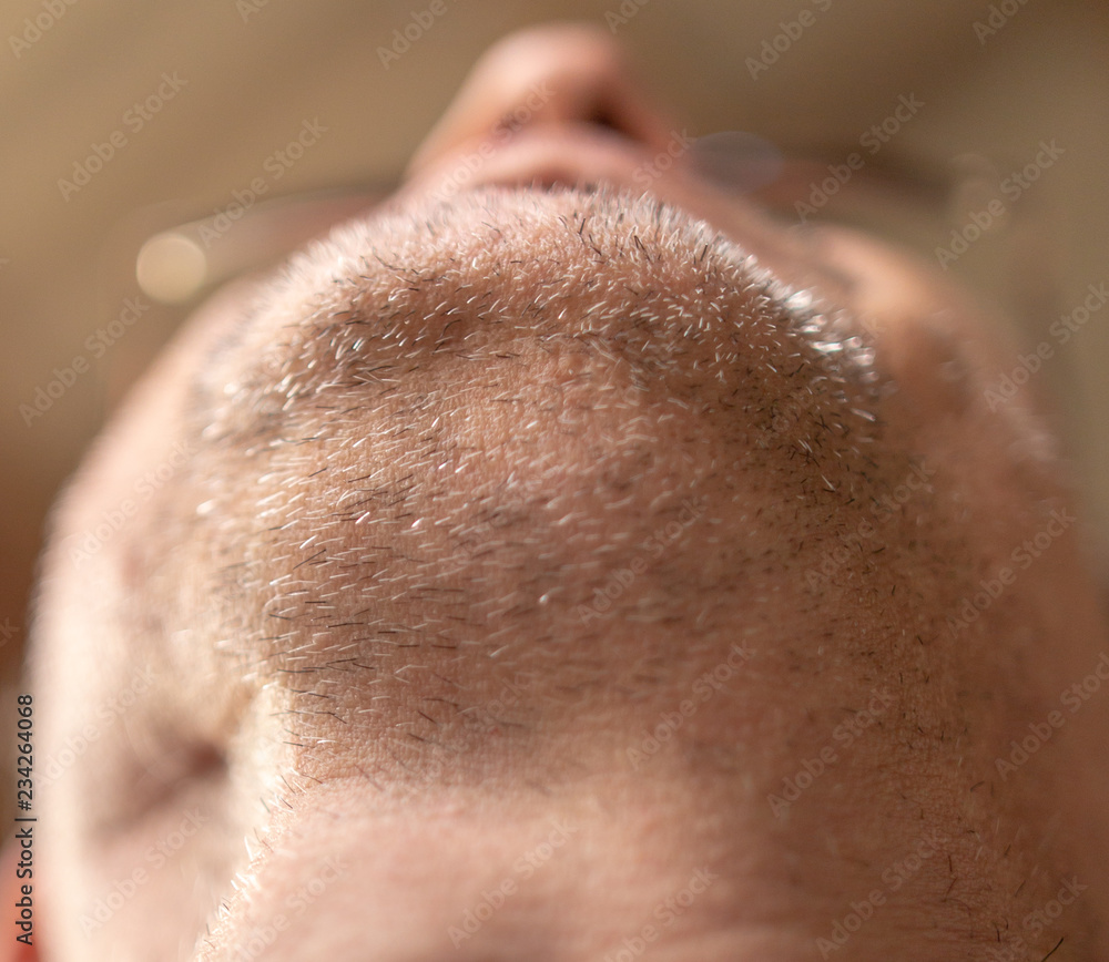 The bristle on the beard of a man. The bristle on the beard of a man.