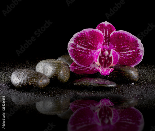 Fototapeta Naklejka Na Ścianę i Meble -  Orchid with zen stones and reflection