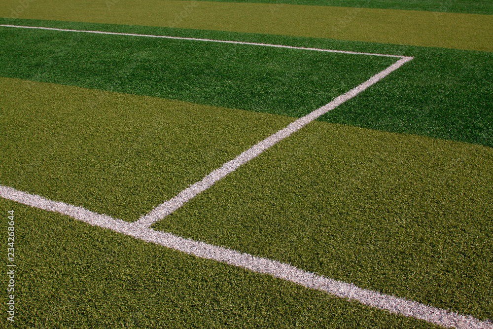 Fototapeta premium white lines on the pitch