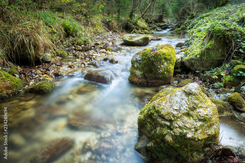 Stream in a forest of The Mala Fatra National Park  not far from the village of Terchova in Slovakia  Europe.