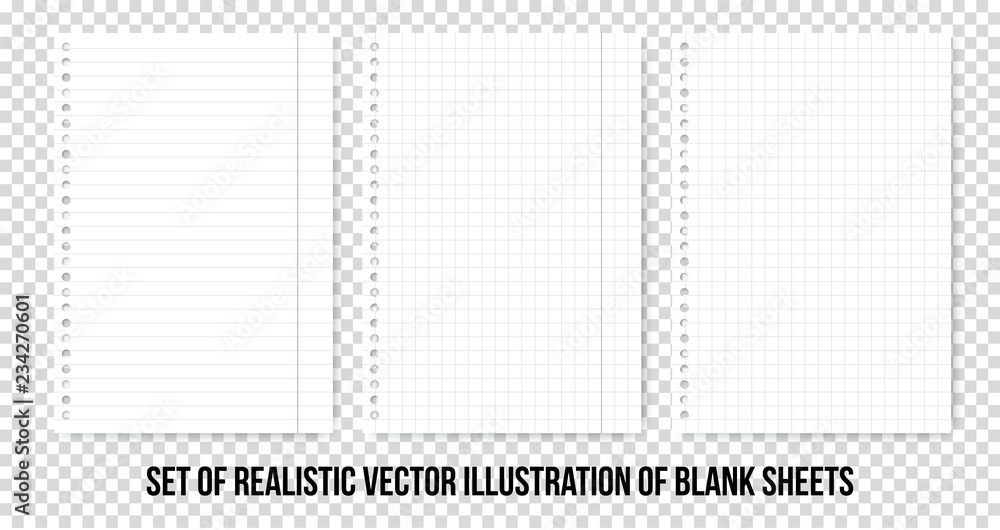 Squared and lined paper sheets of notebook or copybook. Vector realistic paper sheet of lines and squares notepad pages set isolated on transparent background