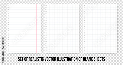 Squared and lined paper sheets of notebook or copybook. Vector realistic paper sheet of lines and squares notepad pages set isolated on transparent background