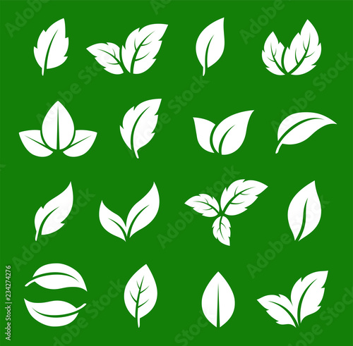 set of abstract natural green leaf icons