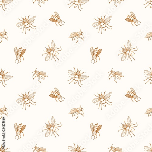 Seamless pattern with honey bees drawn with contour lines on light background. Apiculture or beekeeping backdrop. Monochrome vector illustration in elegant antique style for wrapping paper, wallpaper.