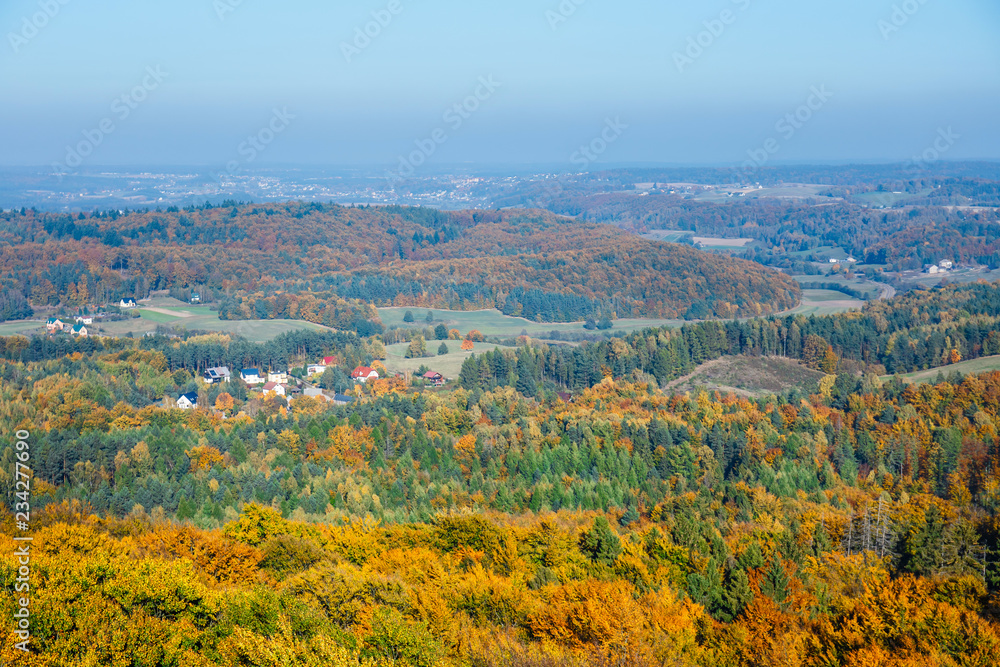 aerial view of the autumn forest, the Kashubian region, Gda?sk Pomerania