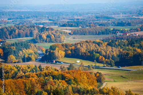 aerial view of the autumn forest  the Kashubian region  Gda sk Pomerania