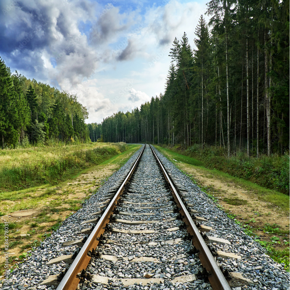 Fototapeta premium Summer railway view with forest and cloudy sky in Russia