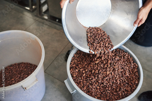 Worker pouring cocoa beans into a bucket for chocolate production
