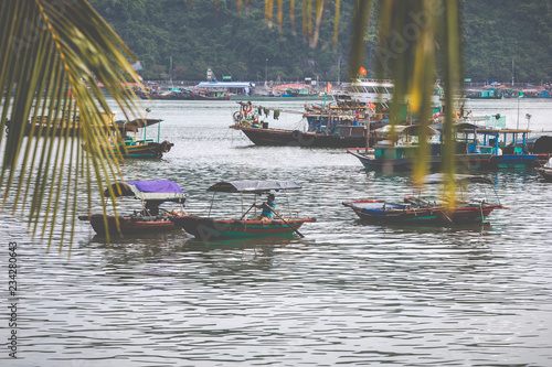 Floating fishing village and fishing boats in Cat Ba Island  Vietnam  Southeast Asia. UNESCO World Heritage Site.