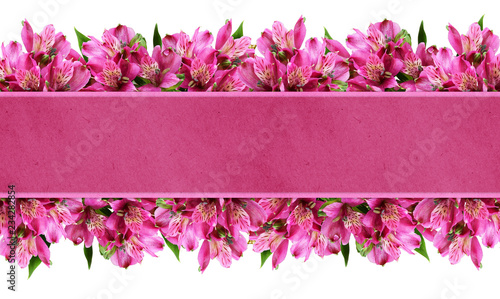 Pink alstroemeria flowers i...