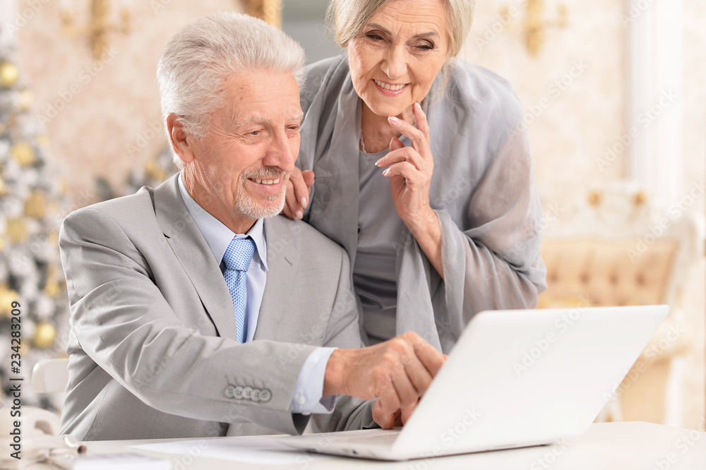Obraz premium Portrait of senior couple using laptop at home